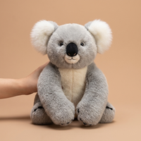 koala（Nino）