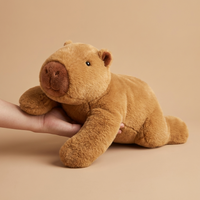 capybara（Mochi）